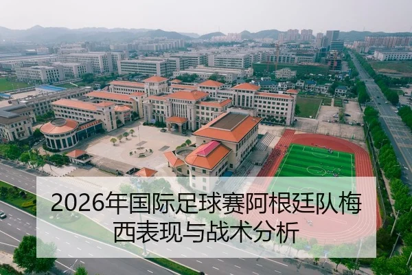 2026年国际足球赛阿根廷队梅西表现与战术分析