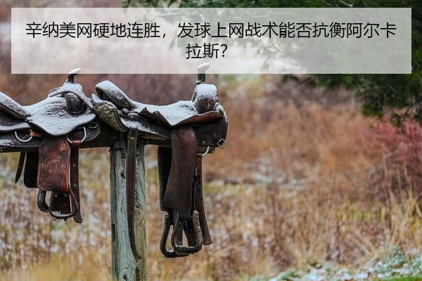 xin-na-mei-wang-ying-di-lian-sheng-fa-qiu-shang-wang-zhan-shu-neng-fou-kang-heng-a-er-ka-la-si-2-371.jpg