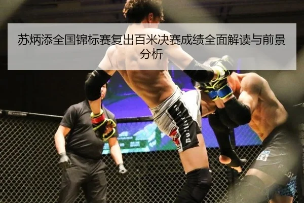 su-bing-tian-quan-guo-jin-biao-sai-fu-chu-bai-mi-jue-sai-cheng-ji-quan-mian-jie-du-yu-qian-jing-fen-xi-3-271.jpg